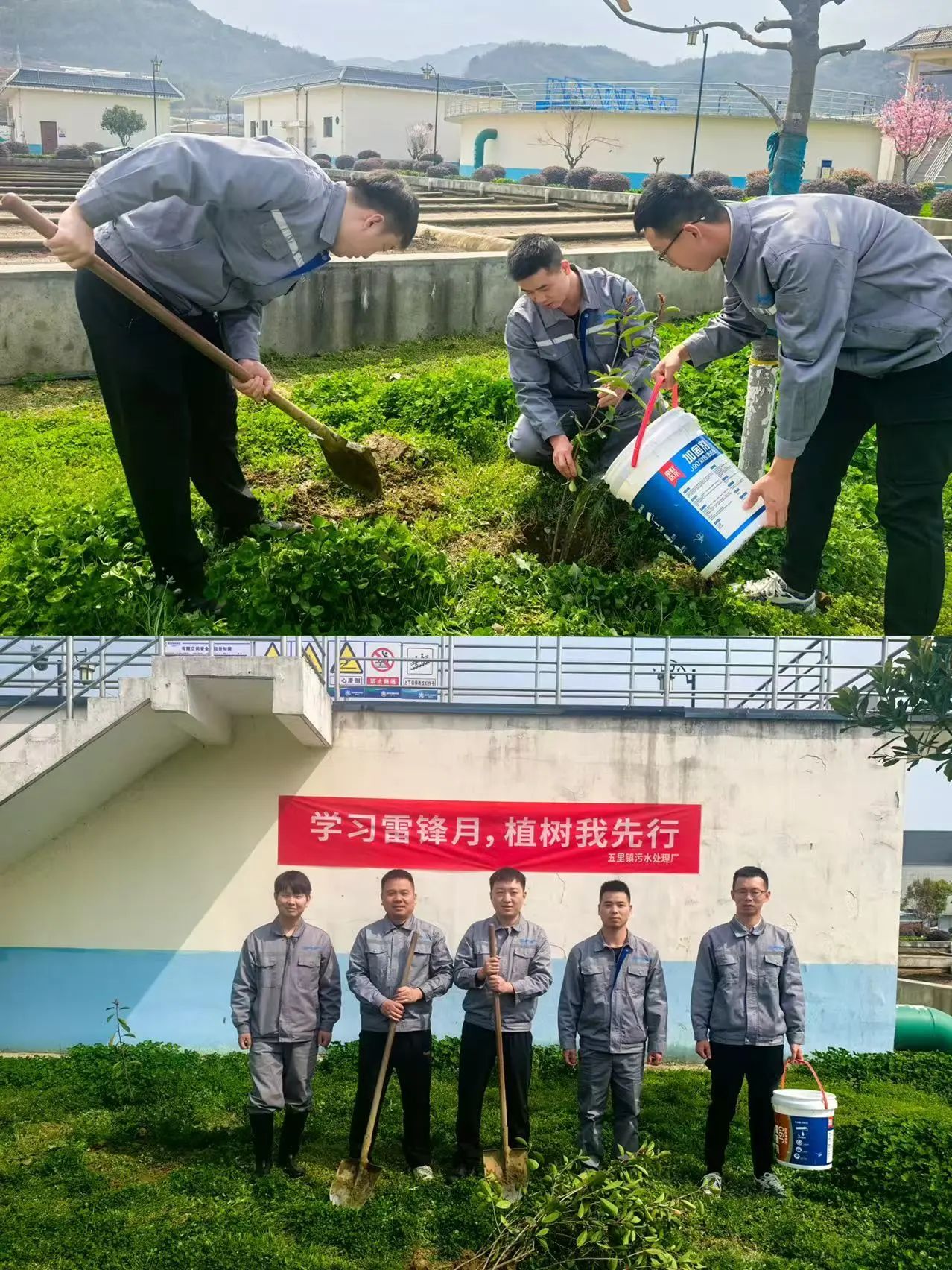bsports必一体育公司权属各企业开展植树节活动